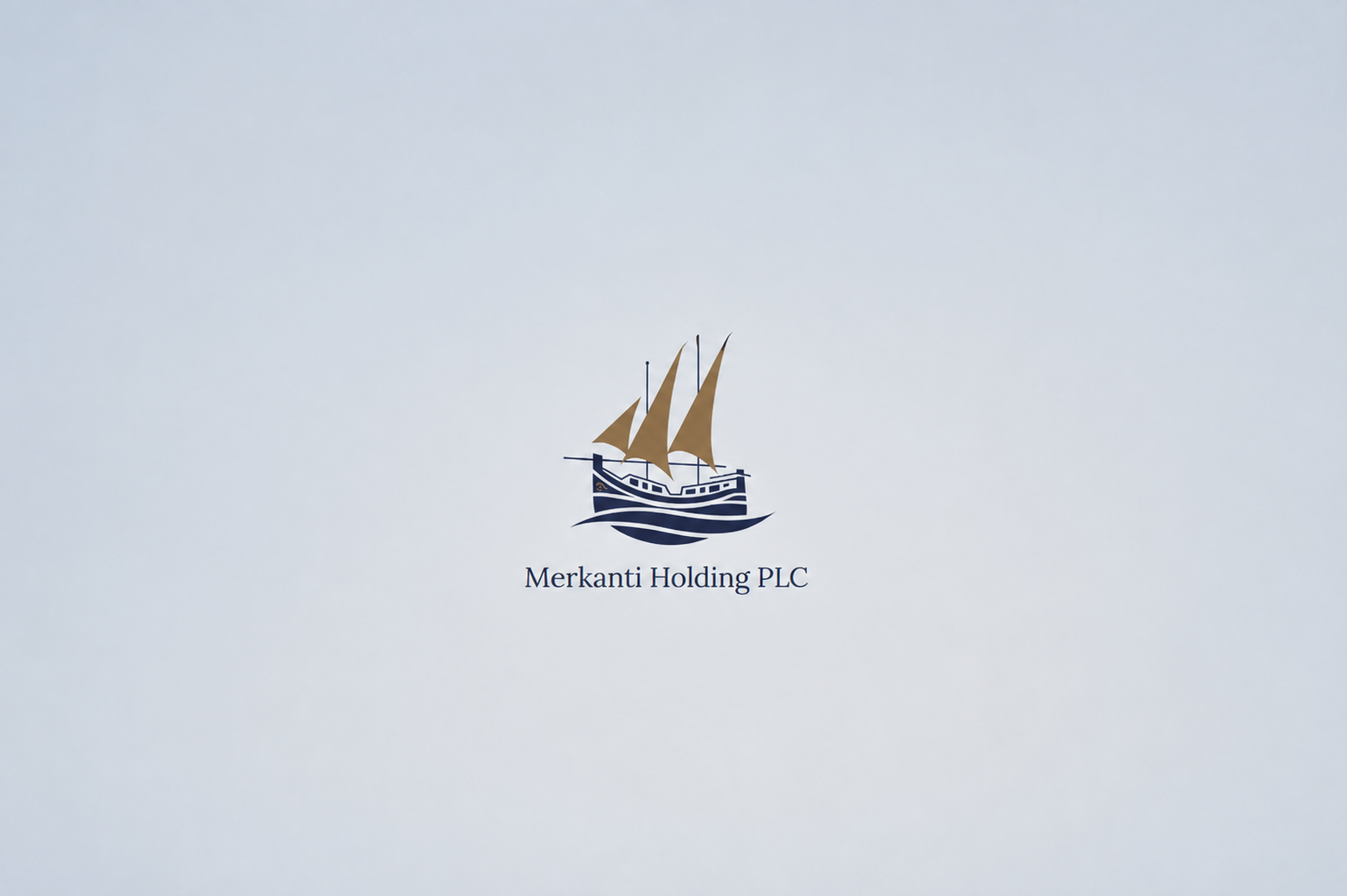 Merkanti-Holdings Logo